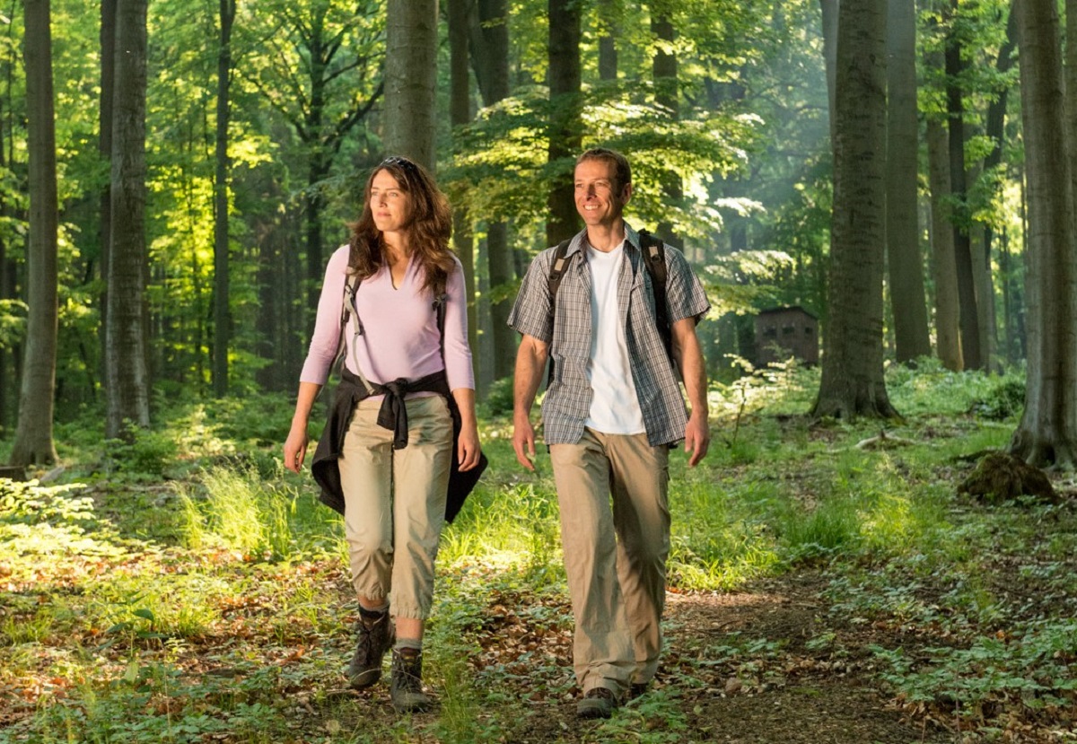 Waldreiche Wanderung in den Nauberg