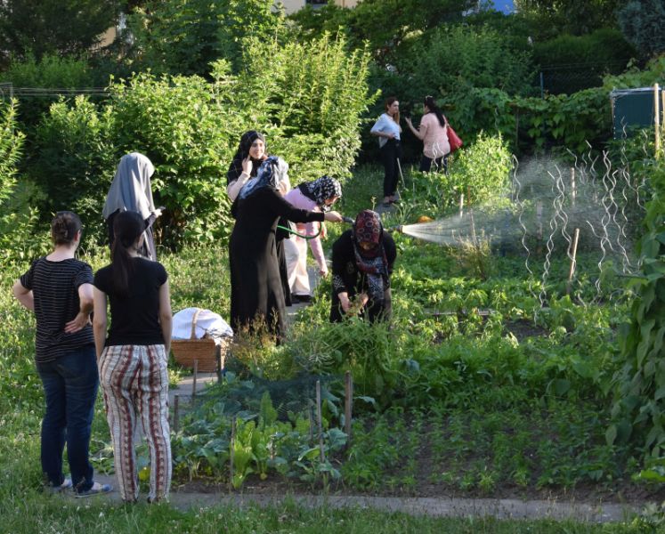 Bunte Beete: Sommerfest im Stadtteilgarten gefeiert