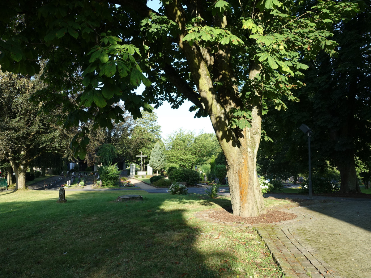 Tabuthema Tod und Sterben: Gromaischeid veranstaltet "Tag des Friedhofes"