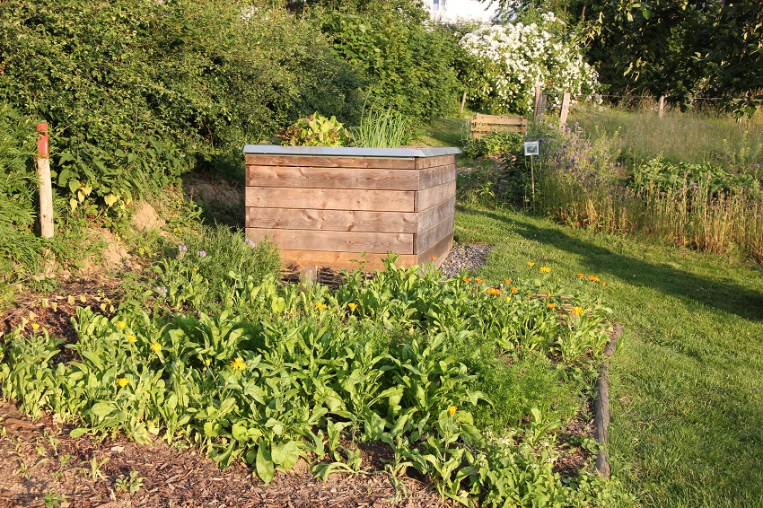 Aller Anfang ist leicht: Der kleine Bio-Gemsegarten 