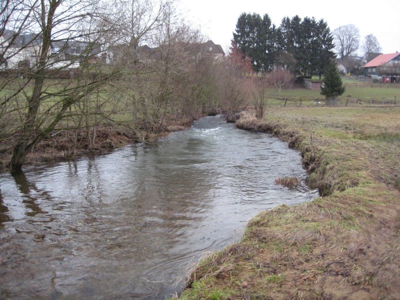 SGD Nord: Gewsserschau an der Wied