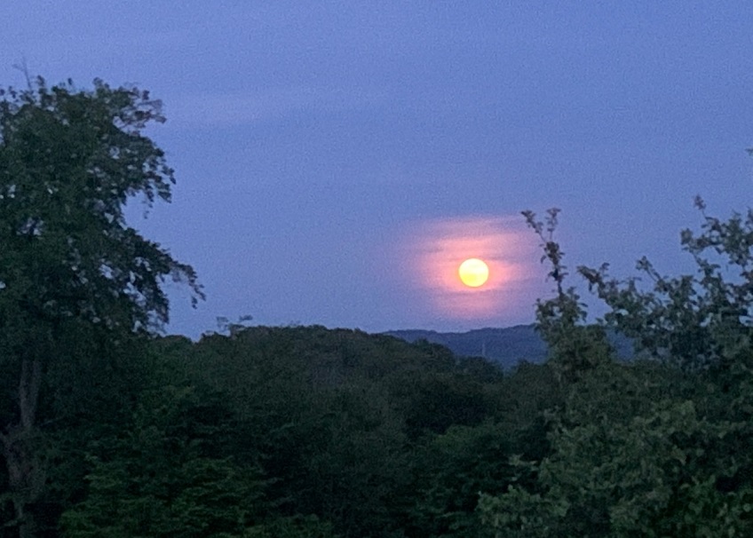 Corona macht den Grandpa aus dem Westerwald leicht lethargisch