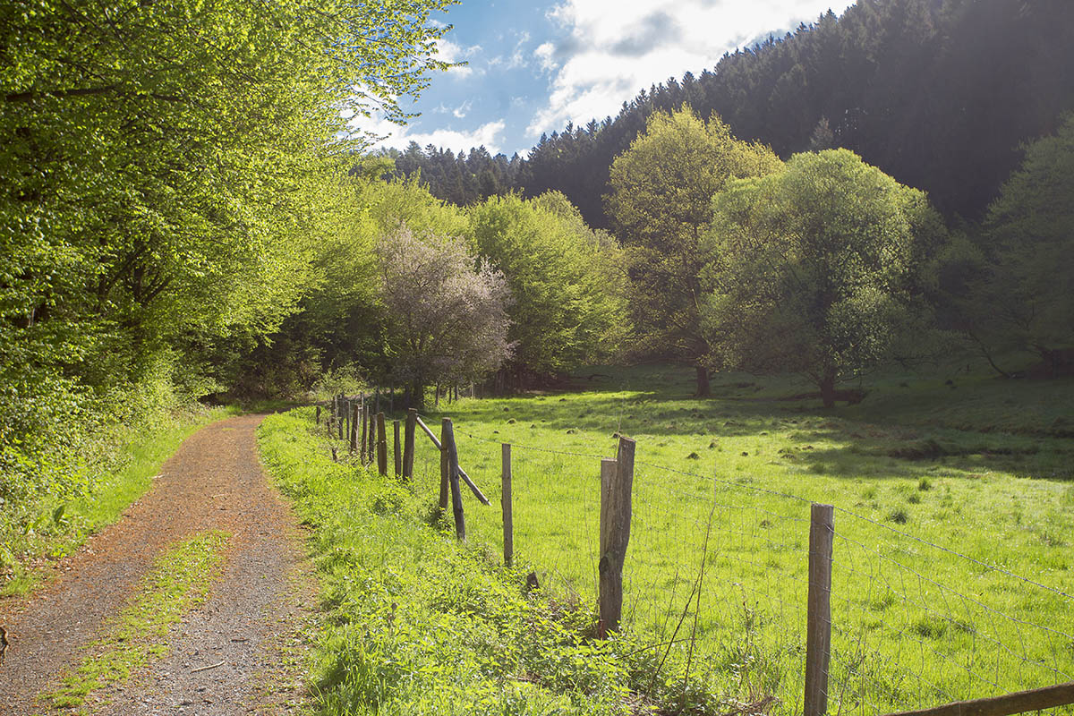 Rheinland-Pfalz hat viele schne Ecken. Foto: Wolfgang Tischler