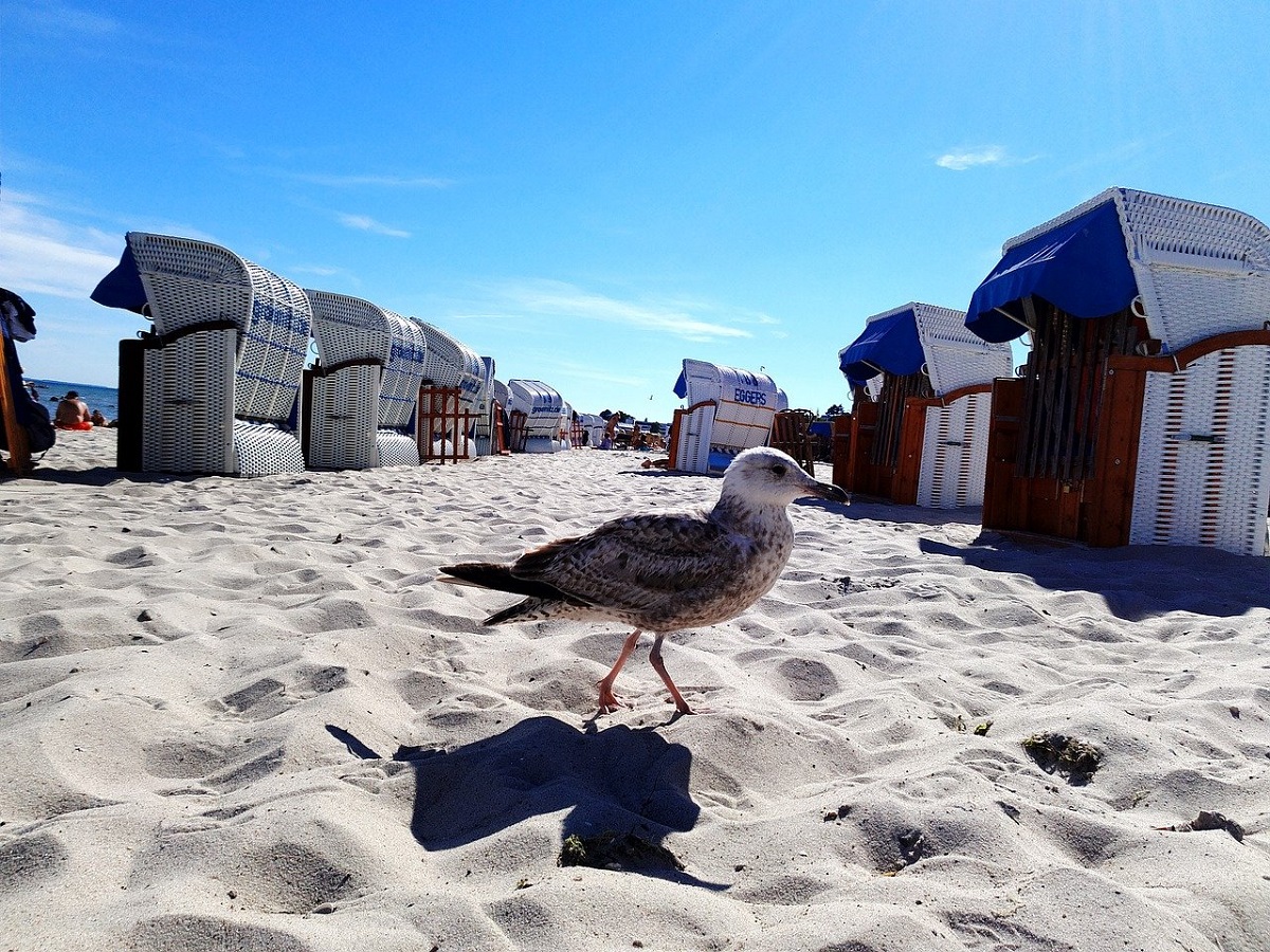 Sommerferienfahrt ins Camp Grmitz: Kreisjugendpflege fhrt an die Ostsee