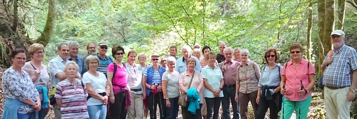 Wanderung am Tag des Geotops: Viel zu entdecken im Elbbachtal 