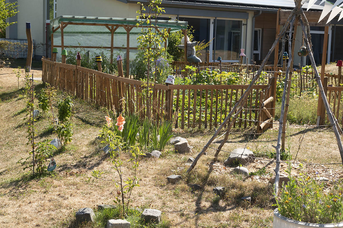 Puderbach: Kita-Kinder ziehen eigenes Obst und Gemse fr die Kche