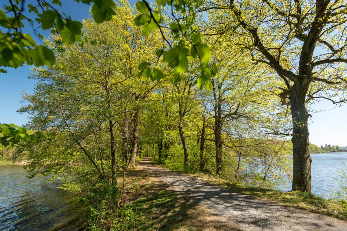 Lieblingsort von Peter Klckner im Hachenburger Westerwald ist die Westerwlder Seenplatte.