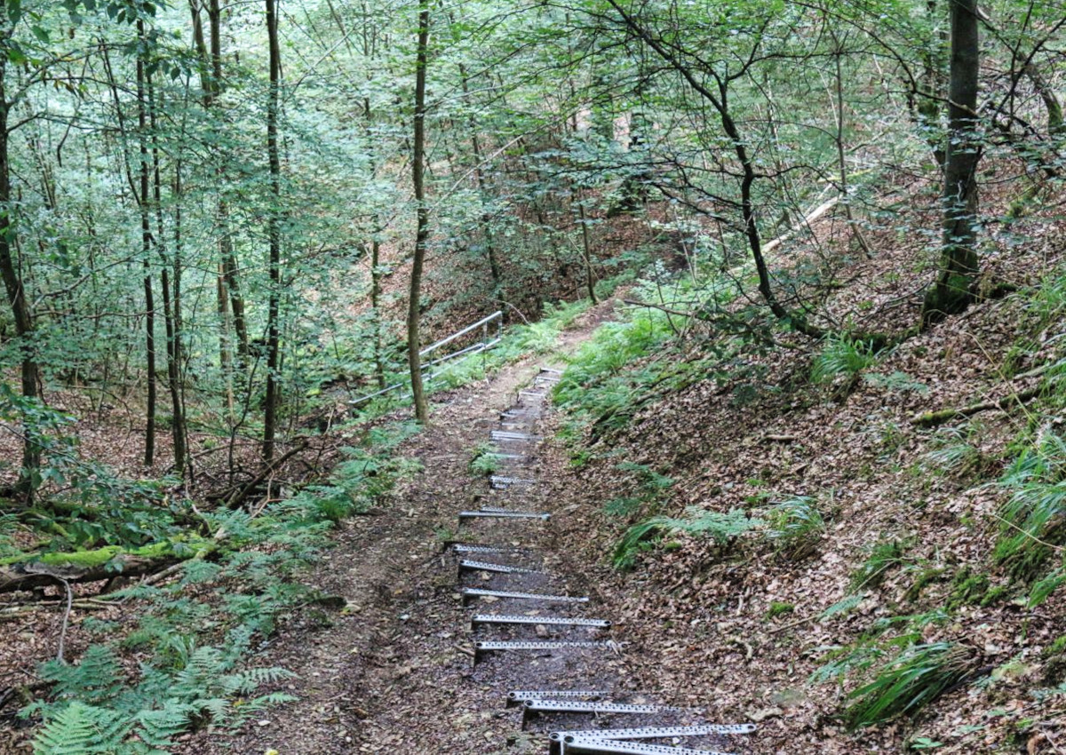 Gefhrte Wanderung: Durch die Holzbachschlucht bei Hachenburg zur Grenzanlage am Landwehr