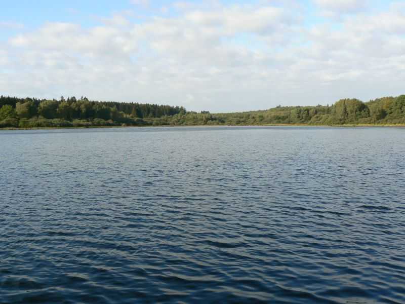 Haidenweiher. Foto: SGD Nord