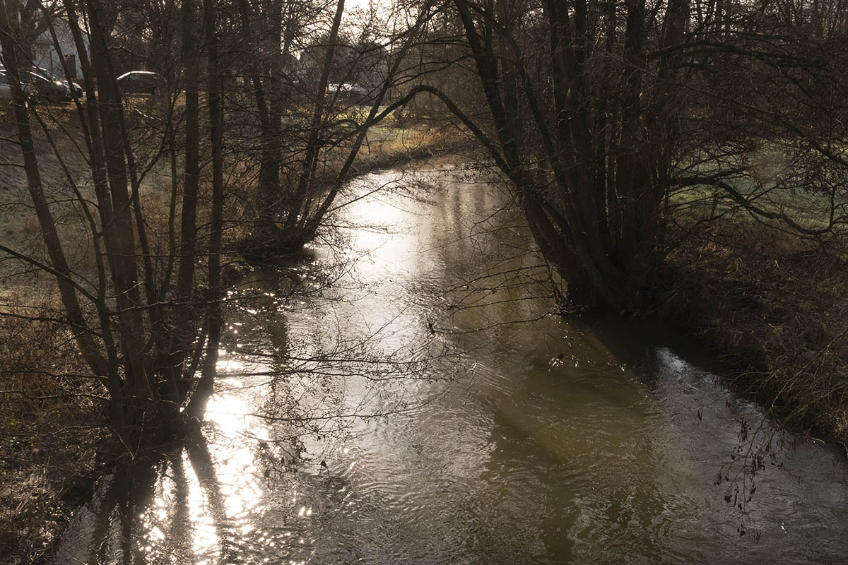 Keine generelle Fllung von Bumen am Holzbach in Dierdorf