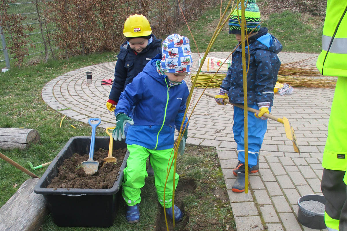 Kinder bauen sich einen Weidentunnel