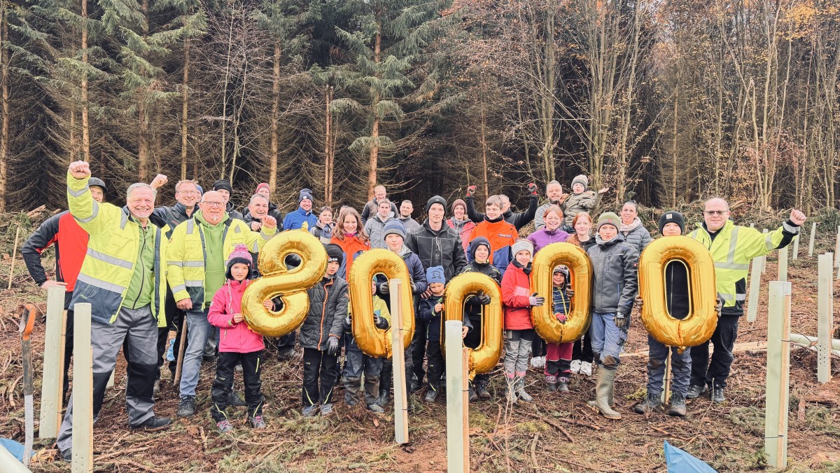 80.000 Bume fr den Westerwald: Ein beeindruckender Meilenstein in der regionalen Aufforstung