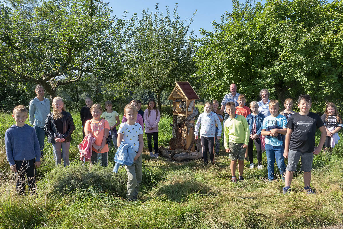 Brckrachdorf frdert die Insekten- und Tiervielfalt