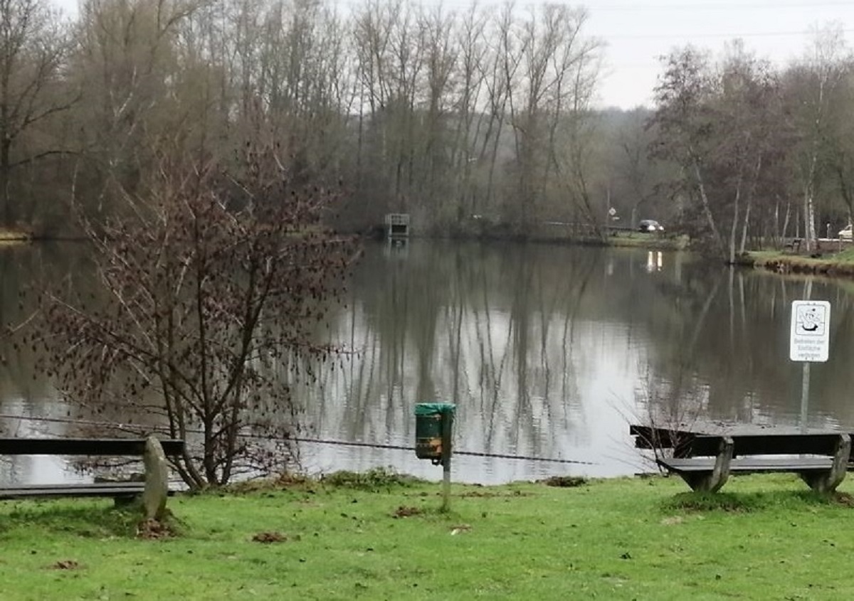 Der Weiher in Mammelzen ist verschlammt und knnte, wenn es gut luft, von Ende des Jahres an von den zustzlichen Ablagerungen befreit werden. (Foto: hak) 