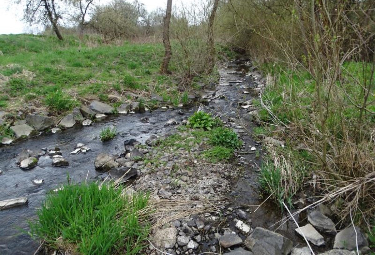 Der NABU Rennerod spricht sich zum Erhalt der Biodiversitt gegen die Erweiterung des Gewerbegebietes Rennerod Sd aus. (Fotos: NABU Rennerod und Umgebung e.V.)