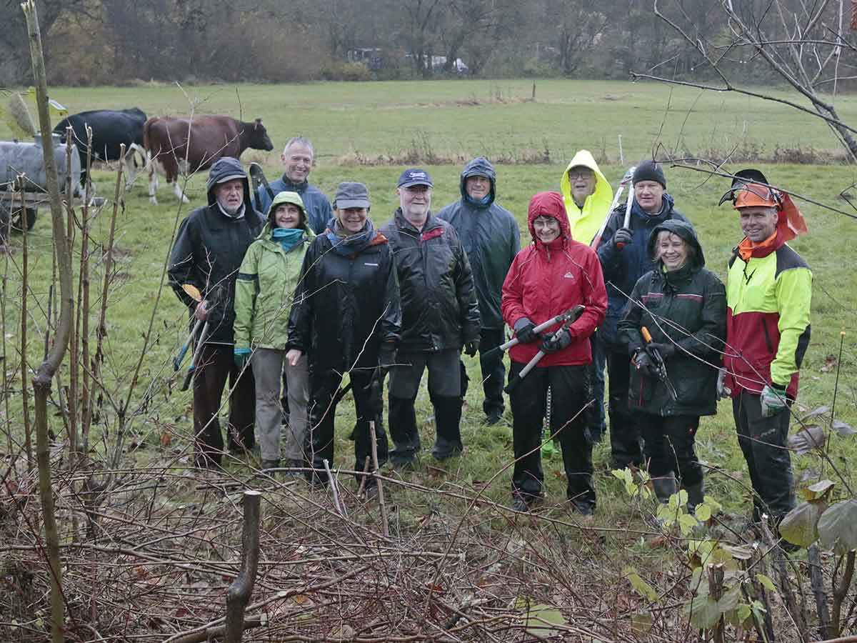 Wetterfeste Helfer pflegen Westerwlder Hecke