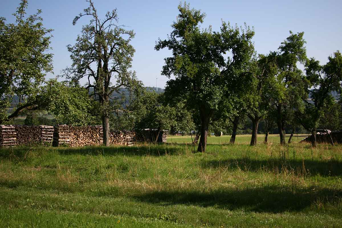 Vortrag zu "Streuobstanbau im Westerwald" im Stffelpark