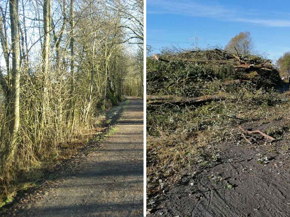 Vorher/Nachher Bild des Radwegs. (Foto: privat)