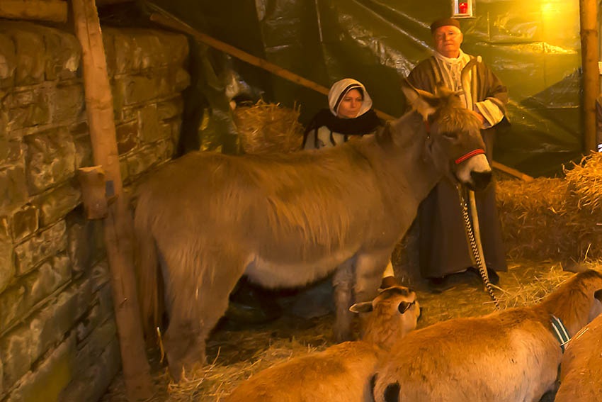 Christkindlmarkt im Ortsteil Altstadt 