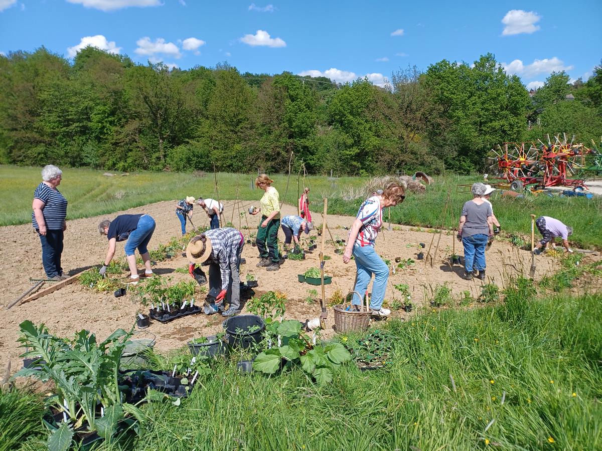 Unter Anleitung von Heike Boomgarden wurde ein Vielfalt-Gemse-Garten in Obererbach angelegt. (Foto: Veranstalter)