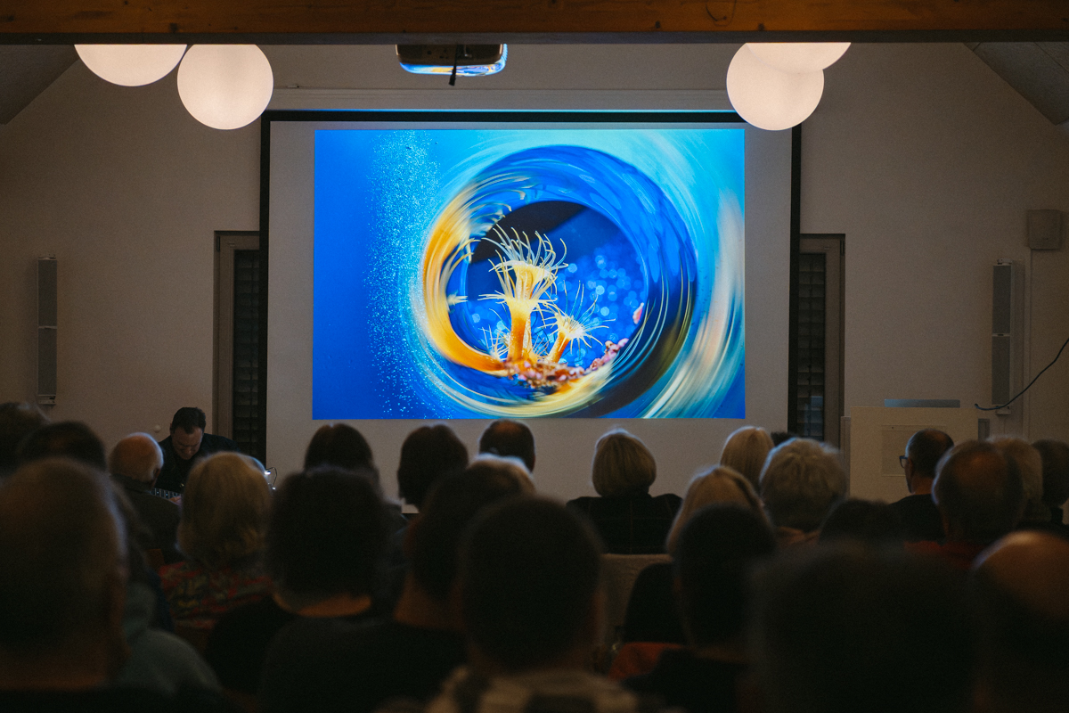 Peter Borsch zeigt faszinierende Einblicke in die Welt der Unterwasserfotografie. Fotos: LJS