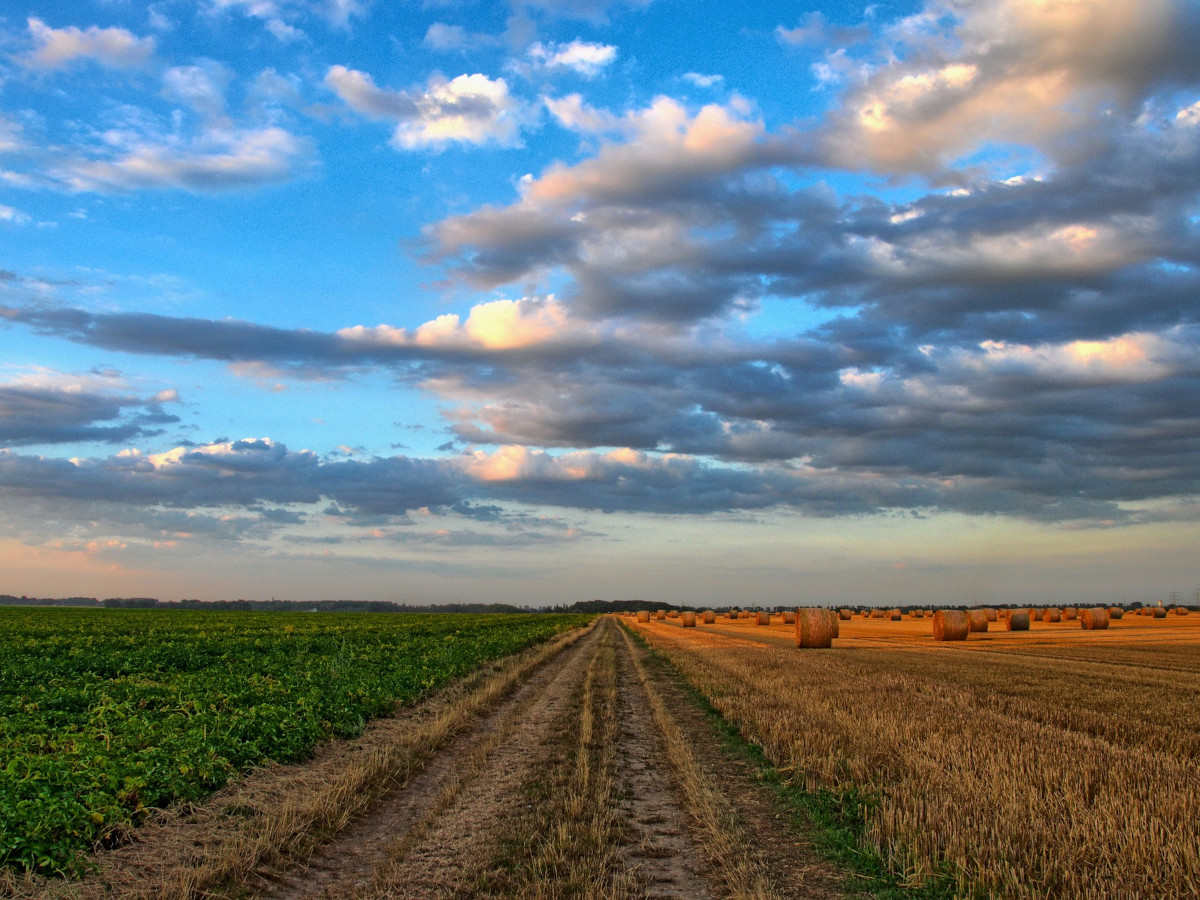 Regionale Landwirtschaft als Werteschpfer: Initiative setzt auf Dialog und Politik