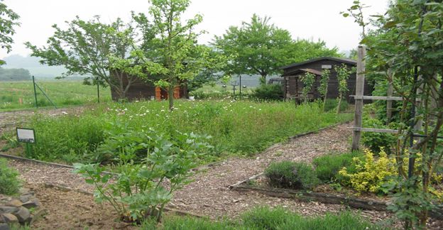 Naturschutz im Garten