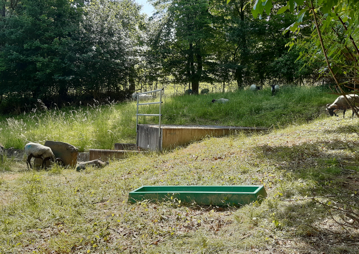 Biodiversittsstrategie in der VG Montabaur: Viele Manahmen fr mehr Artenvielfalt