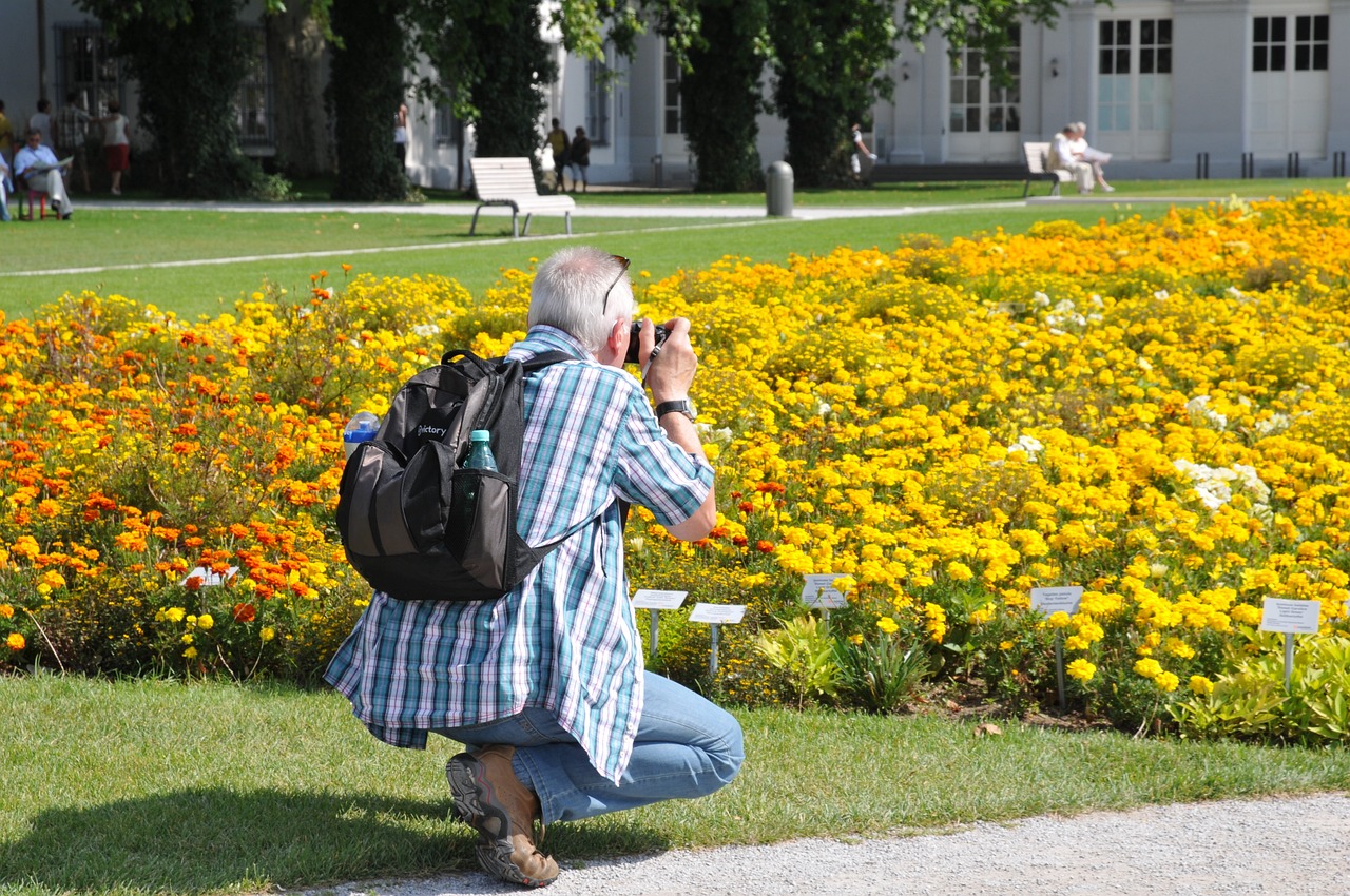 Montabaur will sich die Landesgartenschau 2032 holen. (Symbolfoto, Quelle: Pixabay)