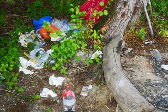 Aktion Saubere Landschaft coronabedingt in den Herbst verlegen