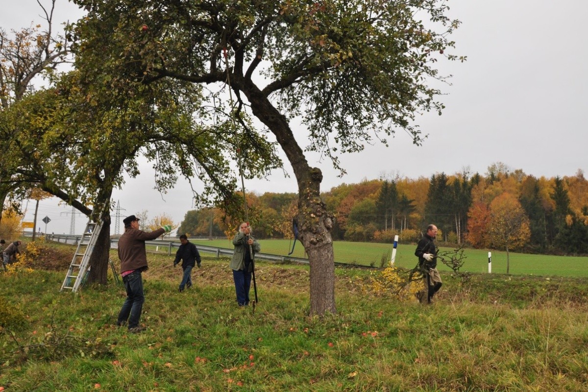 NABU-Mitglieder im Einsatz. (Foto: Peter Fasel)