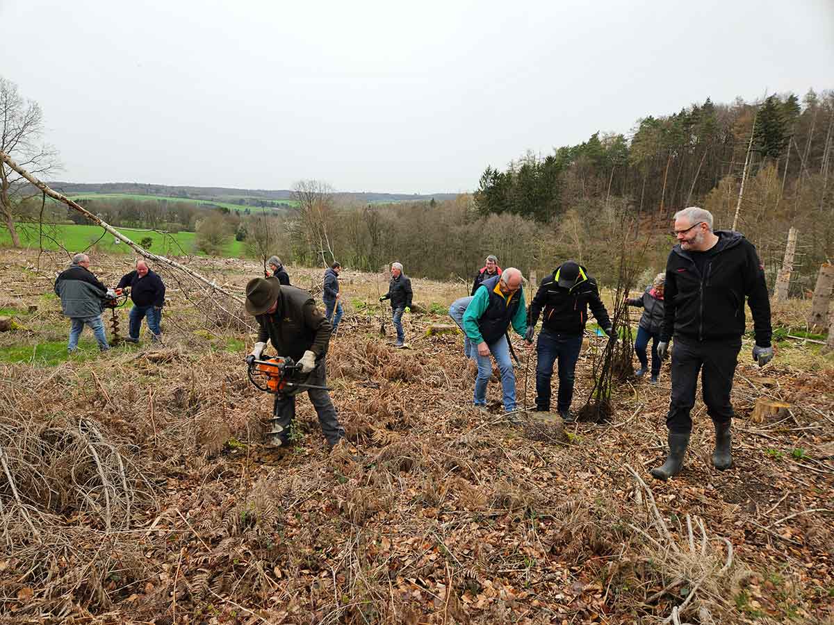 Fr jeden Sponsor ein Baum. (Foto: Wolfgang Zirfas)