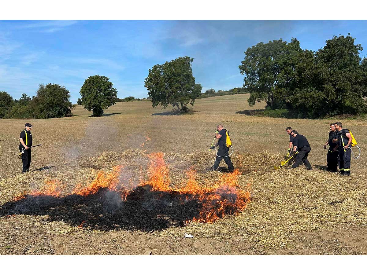 berarbeitetes Waldbrandkonzept: Neuwieder Feuerwehr ist fit fr Wald- und Vegetationsbrnde