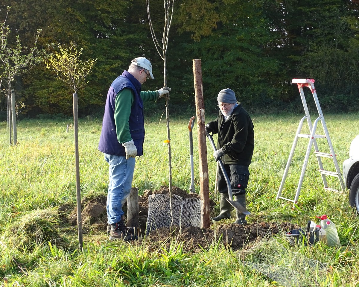 Durch die Pflege und Aufstockung der Streuobstwiesen des Vereins werden nicht nur seltene regionale Obstsorten erhalten, sondern es entstehen auch wertvolle Lebensrume fr Pflanzen und Tiere. (Fotos: ANUAL)