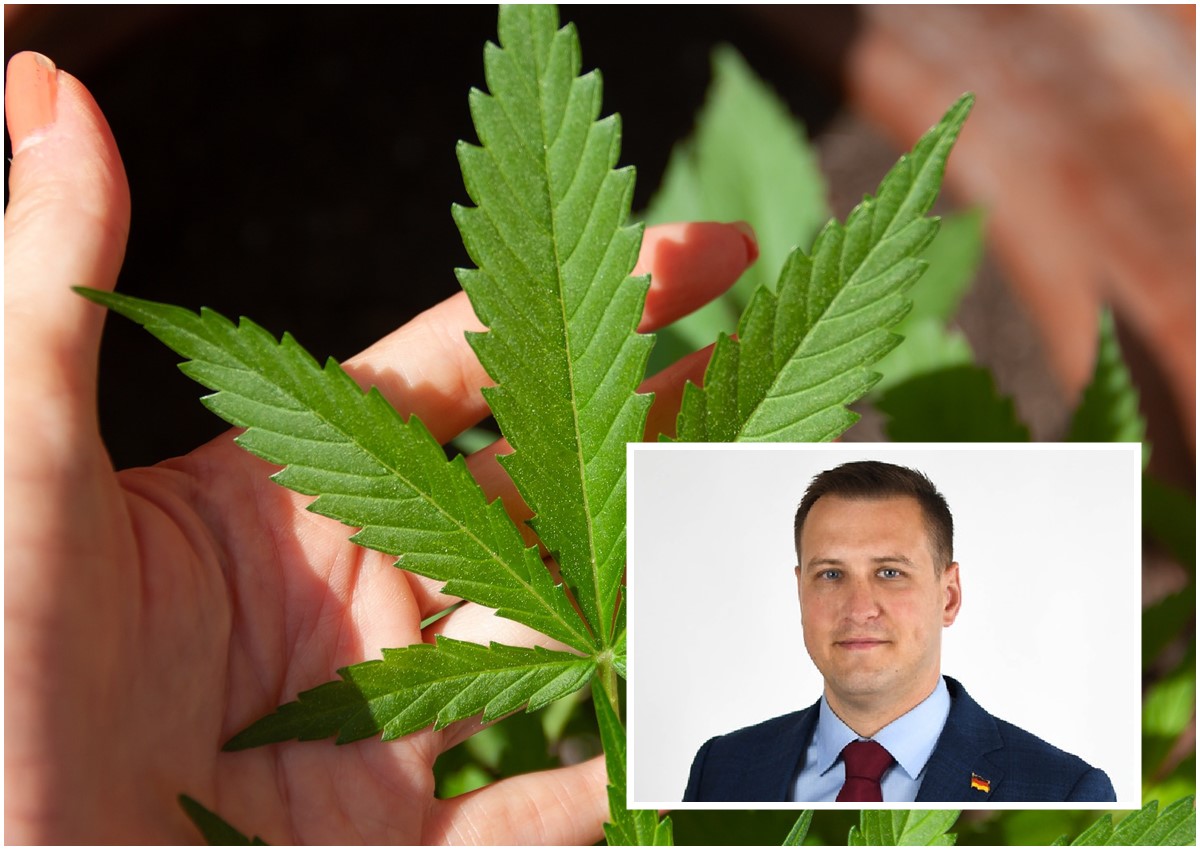 Neuwied auf dem Weg zur Cannabis-Modellstadt?