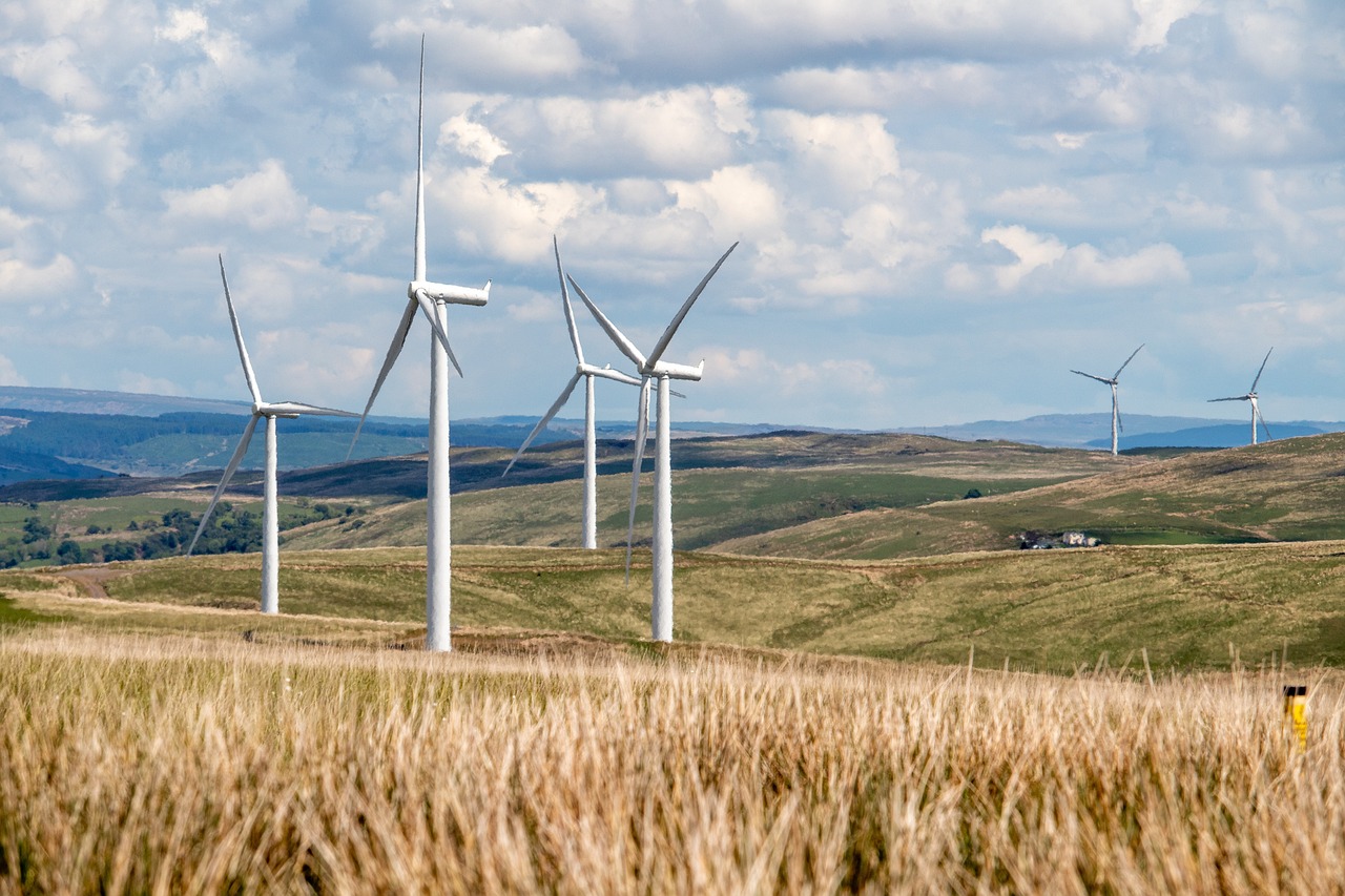 Neuwieder Grnen pldieren fr mehr erneuerbare Energien im Kreis Neuwied