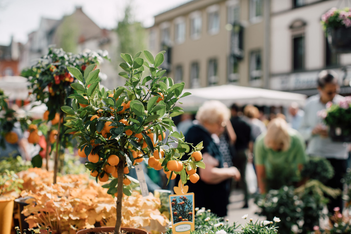 Der Neuwieder Gartenmarkt kommt! (Foto: Zimpfer Photography)