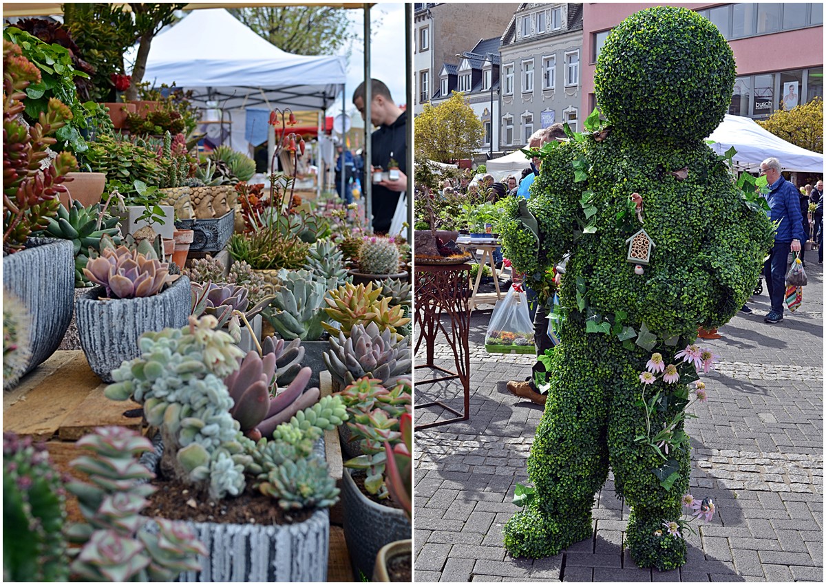 20 Jahre Gartenmarkt Neuwied: Ein Hektar Gartenparadies mitten in der City