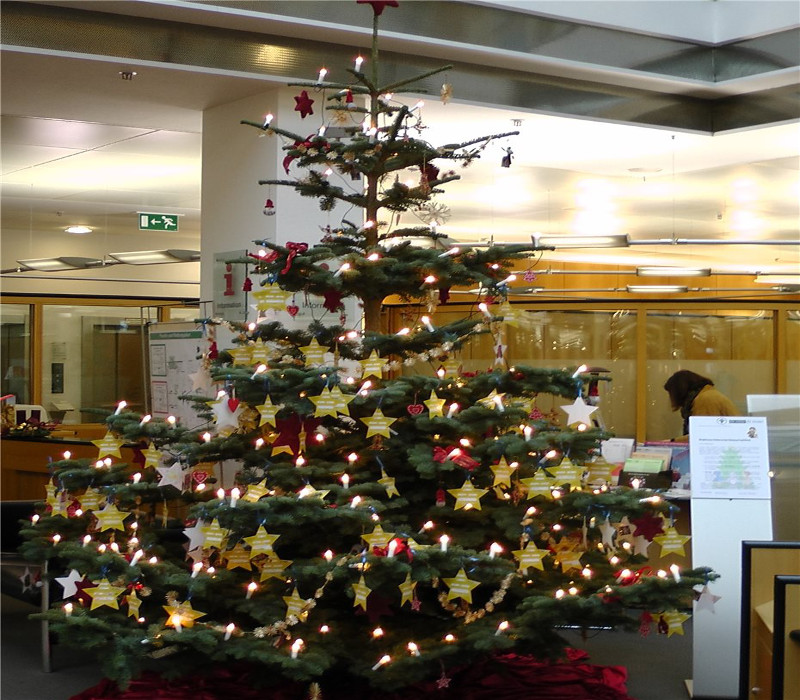 Dieser Weihnachtsbaum kann Kinderwnsche erfllen helfen. Foto: Privat