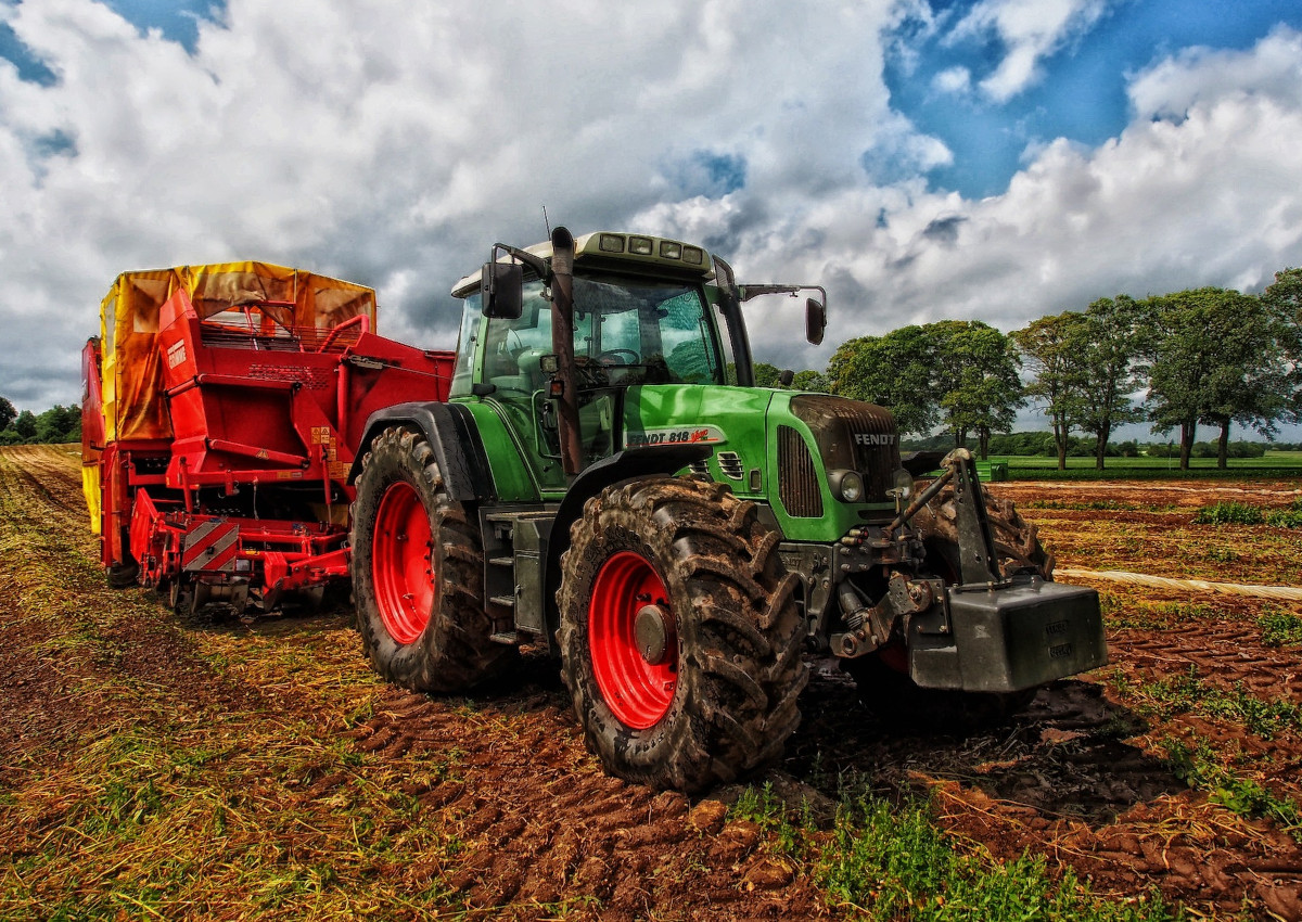 Neue bernahmeprmie fr junge Landwirte und Winzer in Rheinland-Pfalz