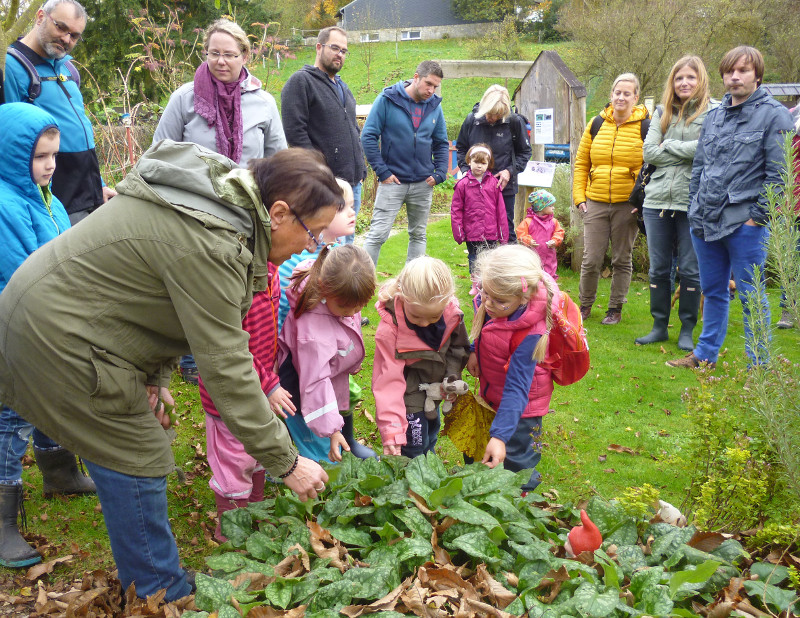 Die "Kunterbunt"-Kinder hatten bei Ingrid Runkel im Krutergarten viel Spa. Foto: Pressebro Neuwied