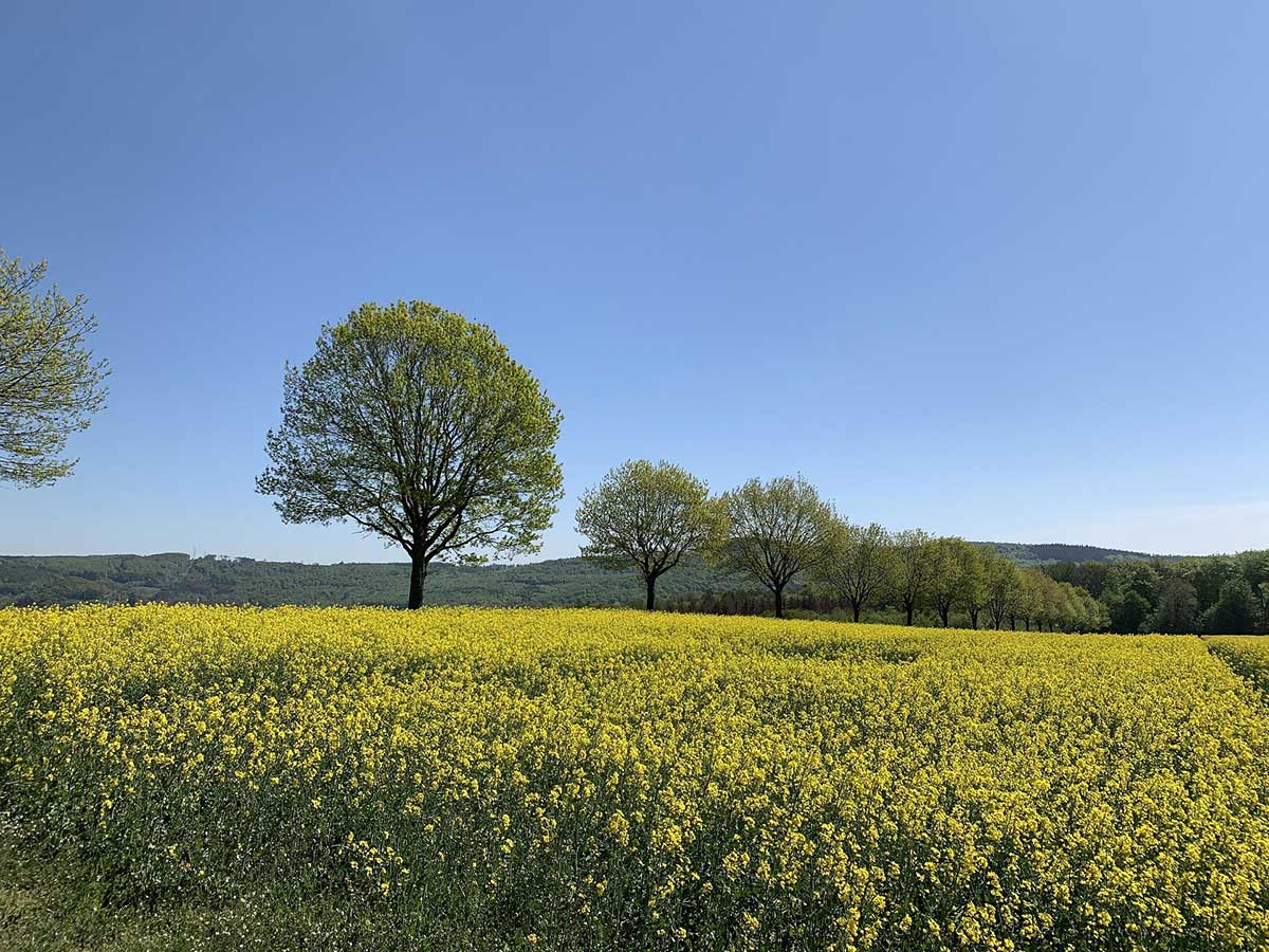 Kostenfreie, gefhrte Wanderungen im Kannenbckerland gehen weiter