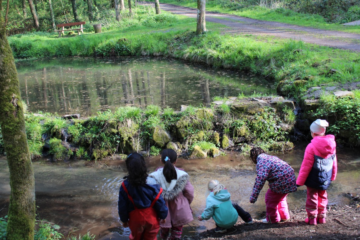 Auf Exkursionen in Wald und Flur lernen die Kinder der Heddesdorfer Kinderburg die heimische Natur kennen und lieben. (Foto: Carla Kappelmaier)