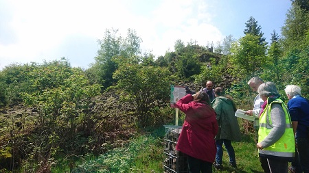 Unterwegs im FFH-Gebiet Wlder am Hohenseelbachskopf (Foto: Johanna Rmer)