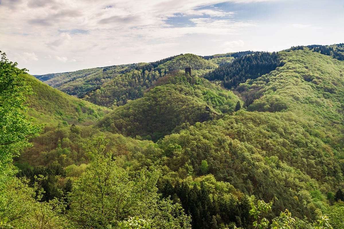 NI: Keine Windkraftanlagen im Naturpark bei Monrepos!