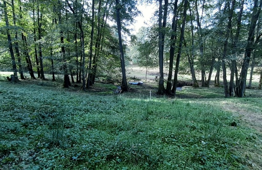 In der Birkenbach-Aue beim Kloster Hassel (Foto: privat)