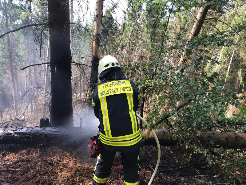 Feuerwehren im Einsatz: Waldbrand nahe Funkenhausen