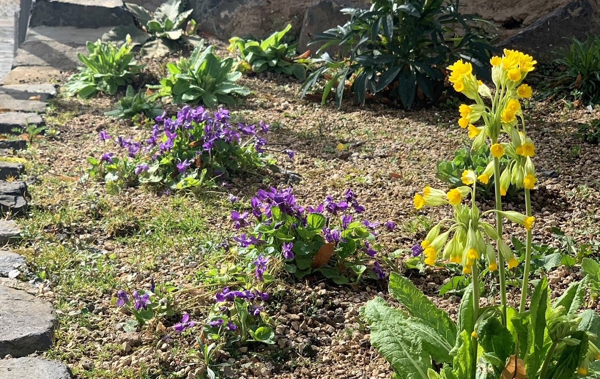 Workshopreihe in Linz zum Thema "Mehr Natur im Garten wagen"