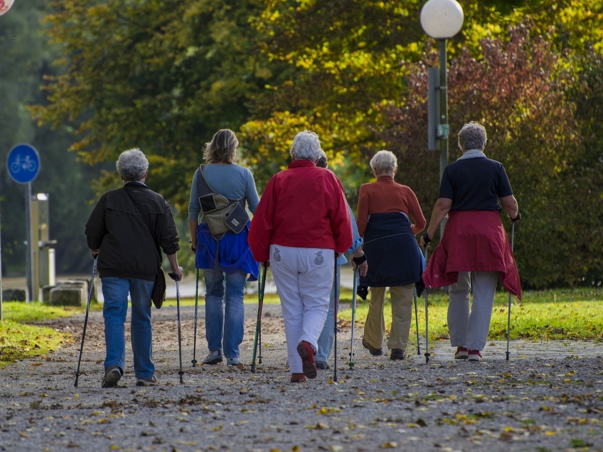 "Vereint in Bewegung": Kostenlose Outdoor-Bewegungsangebote in Rheinland-Pfalz