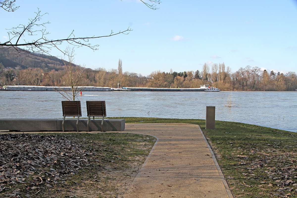 Insel Grafenwerth: Keine nennenswerten Hochwasserschden